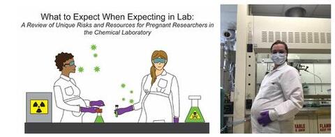 Pregnancy in a Chemical Lab is a Unique Challenge