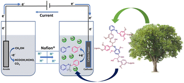 Image of chemical reaction using electrocatalysis to break down lignin model compounds.