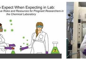 Pregnancy in a Chemical Lab is a Unique Challenge